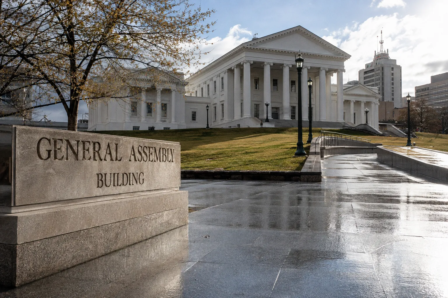 New Virginia Cosmetic Regulations: What Handmade Skincare Makers Need to Know